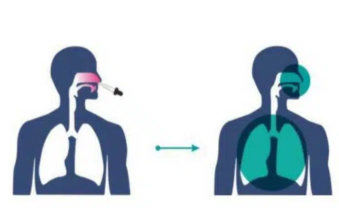 Nasal COVID-19 Vaccine Of Bharat Biotech Gets Nod For Phase 2/3 Trial