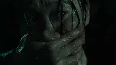 Russian man arrested from Goa on charges of murder