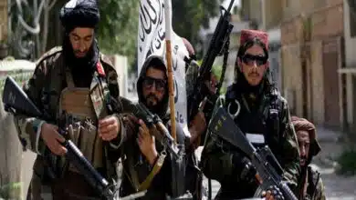 Taliban killed relative of Deutsche Welle journalist