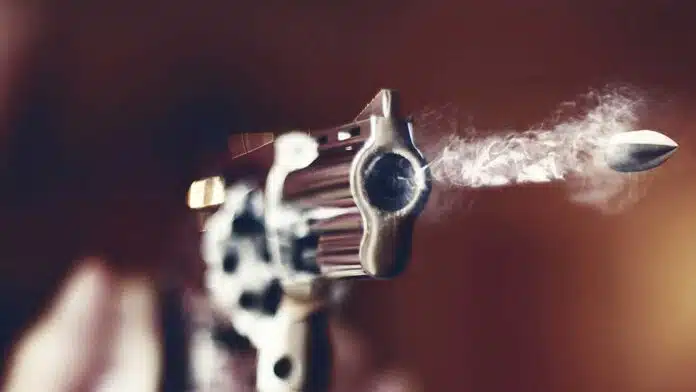 35-year-old man shot dead in Delhi's Shahdara