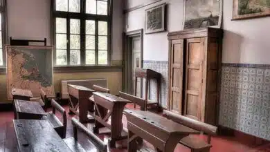 After Diwali Delhi Schools to open For All Classes: Report