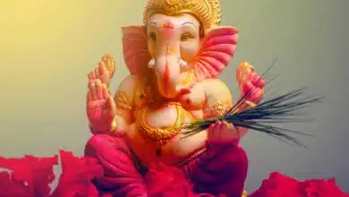 Ganesh Chaturthi celebrations across India amid COVID restrictions