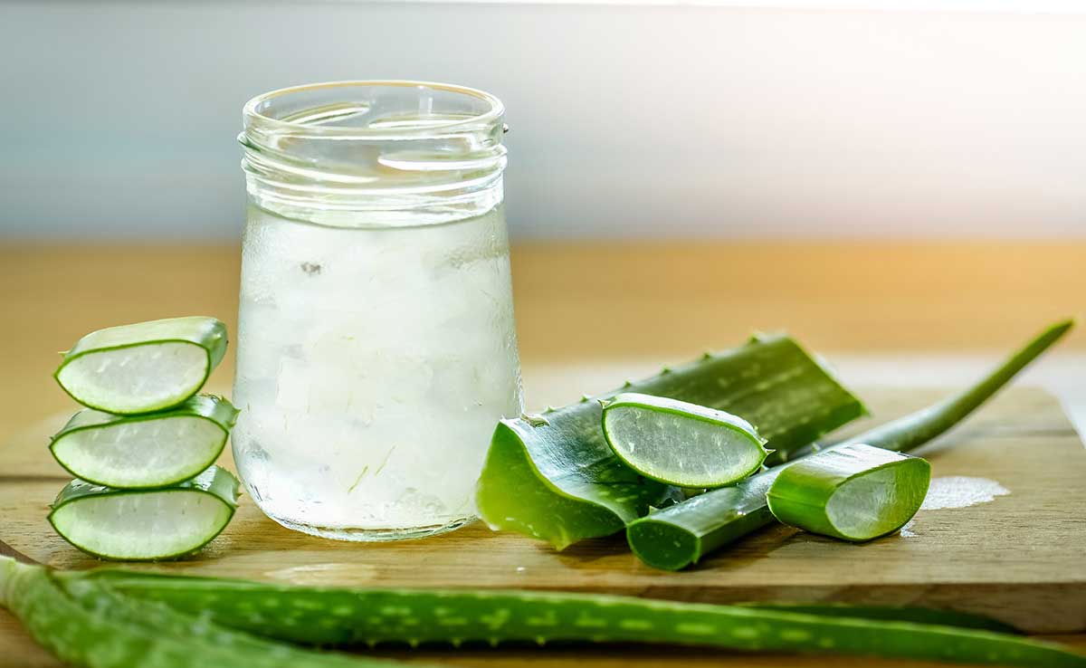 Aloe Vera Juice Medical uses and health benefits of Aloe vera