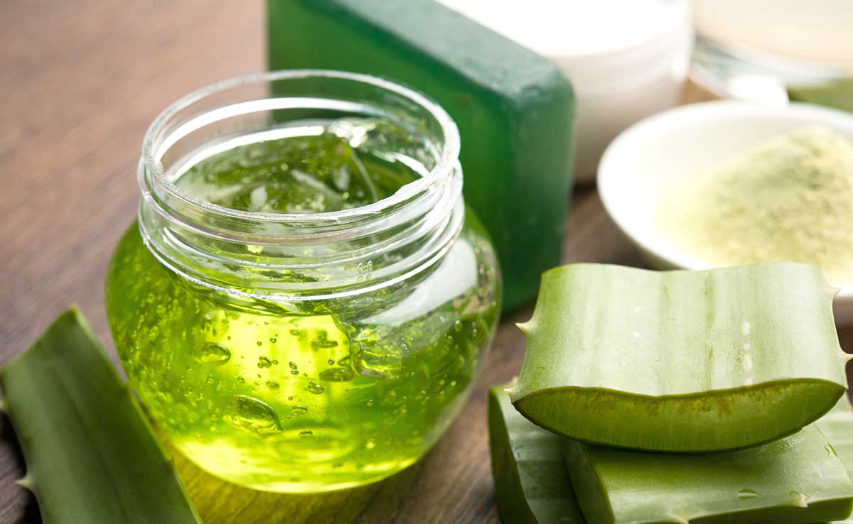 aloe vera gel Medical uses and health benefits of Aloe vera
