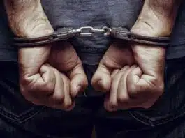 MP 108 Ambulance Service vehicle caught smuggling wood; 2 arrested