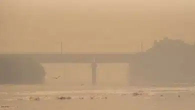 What did the Supreme Court say on Delhi's Air Pollution