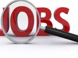 Over 5 million people lost jobs in October