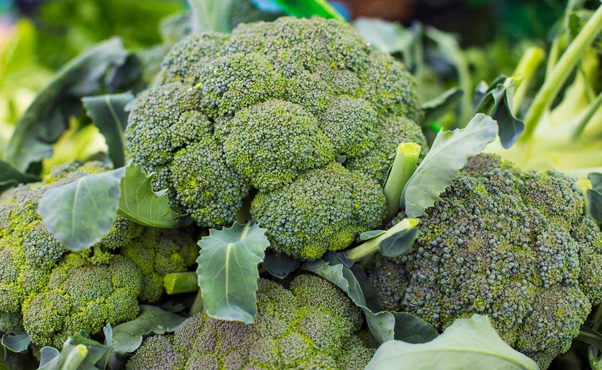 top foods to get better skin