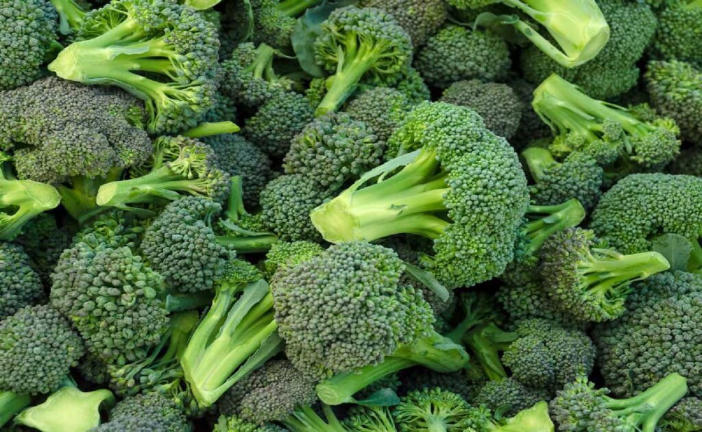 Broccoli Health Benefits and Nutrition Facts