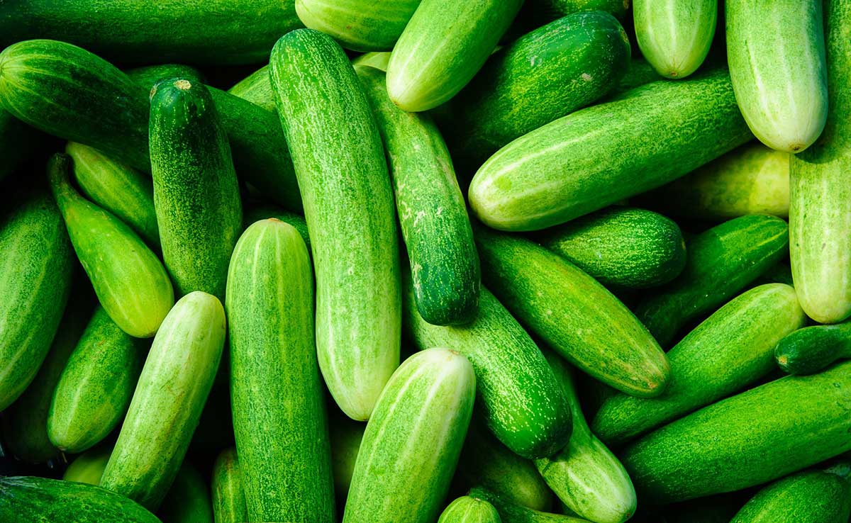 top foods to get better skin