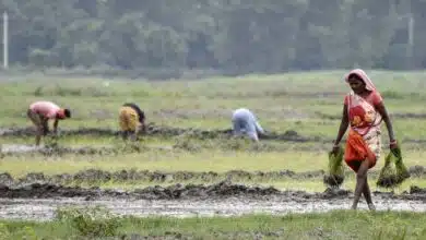 Farm Laws repeal in 4 min opposition wanted discussion