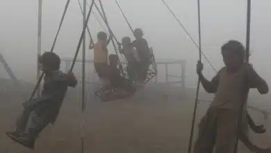 Air pollution can cause 7 health problems in children