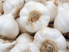 Health Benefits of Garlic That You Need to Know