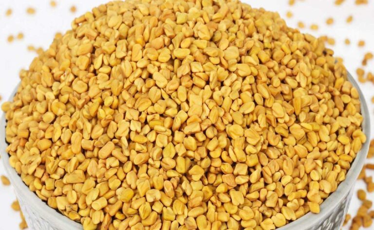 Methi Dana के 8 अविश्वसनीय स्वास्थ्य और सौंदर्य लाभ