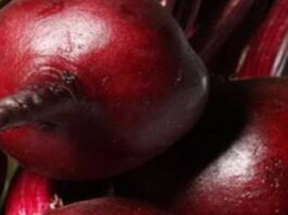 cropped-Beetroot.jpg