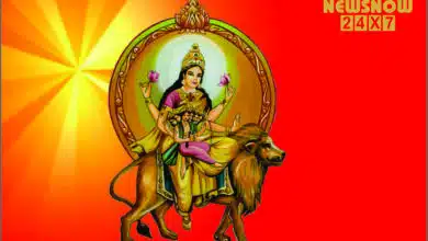 Devi Skandmata : Mantra, Prayer, Stotra, Kavach and Aarti
