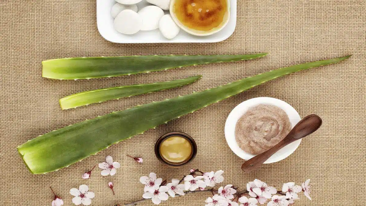 Herbal Acne Remedy: आयुर्वेद में छुपा है स्वस्थ त्वचा का राज़! 
