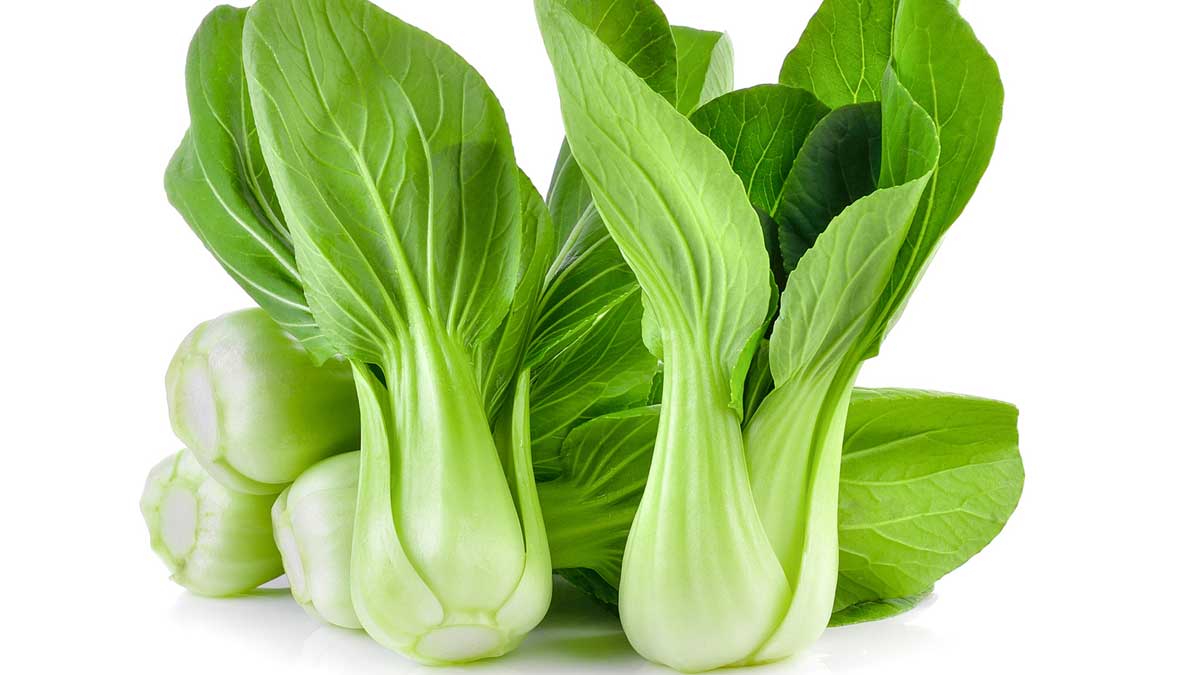 Anti inflammatory 1 3 anti-inflammatory food