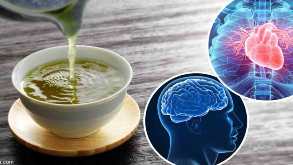 आइये जानते हैं कि कैसे Green Tea आपके brain के लिए लाभकारी है