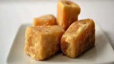Gud (Jaggery): Benefits, Nutritional Value and Recipes