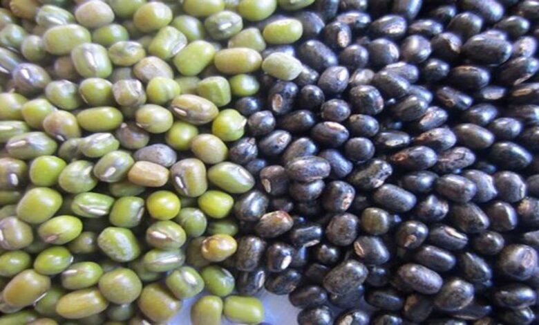 dal