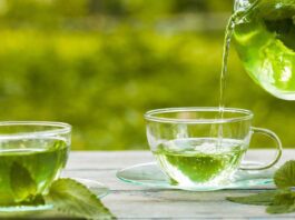 how green tea helps to treat urinary infection