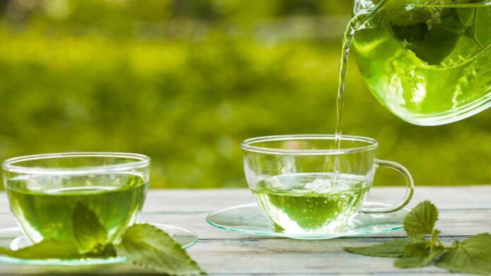 how green tea helps to treat urinary infection