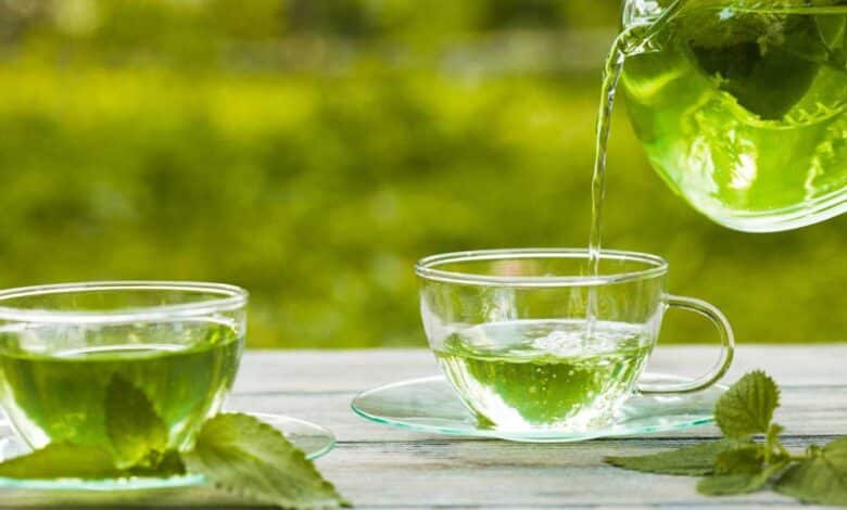 how green tea helps to treat urinary infection