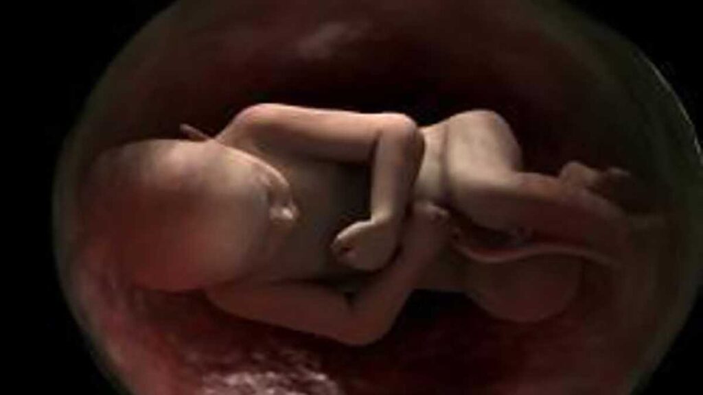 Why kill girls in a fetus? Untold talk to mother
