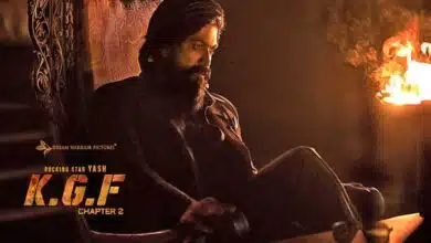 KGF Chapter 2 has earned Rs 300 crore worldwide
