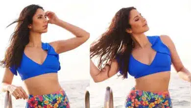 Katrina Kaif shared beautiful pictures on Instagram