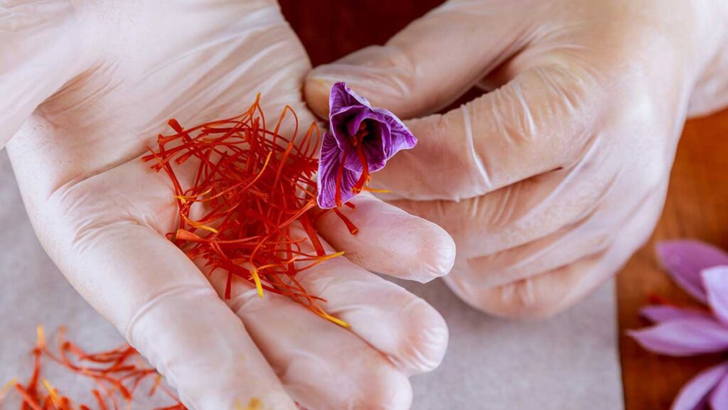 12 Important Health Benefits of Saffron