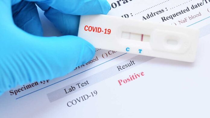 2,706 new COVID-19 cases in India, 25 deaths