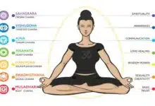 What are the 7 Chakras?