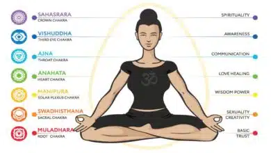 What are the 7 Chakras?