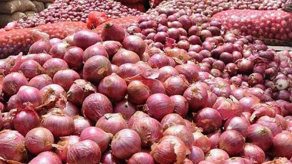 DGFT announces easing of export conditions for onion seeds