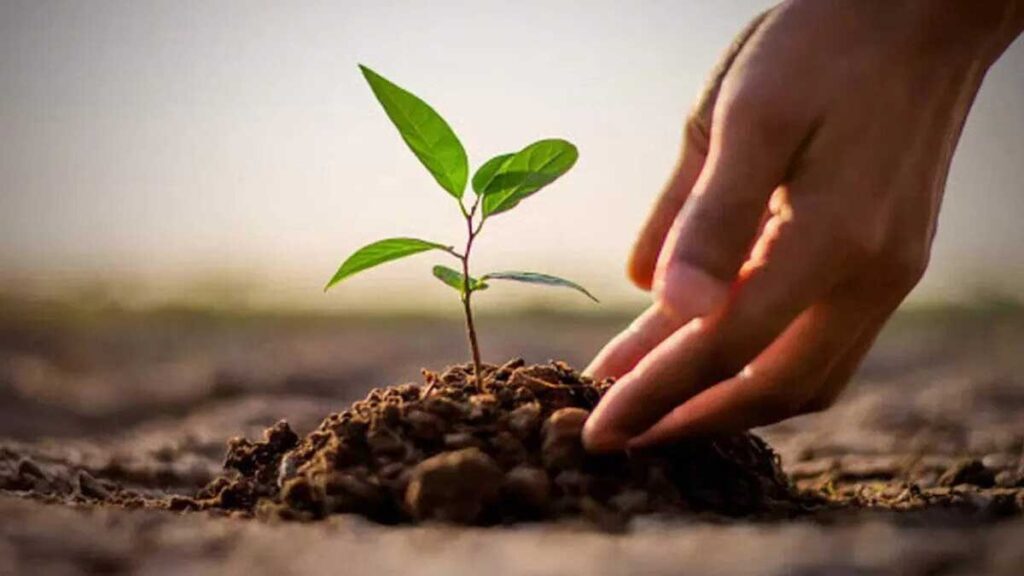 Delhi Directorate of Education asks schools to plant 1.5 lakh saplings