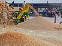 India to "reconsider" its decision to ban wheat exports: US
