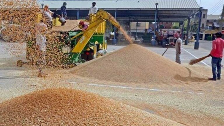 भारत Wheat Export को प्रतिबंधित करने के अपने फैसले पर “पुनर्विचार” करेगा: अमेरिका को उम्मीद