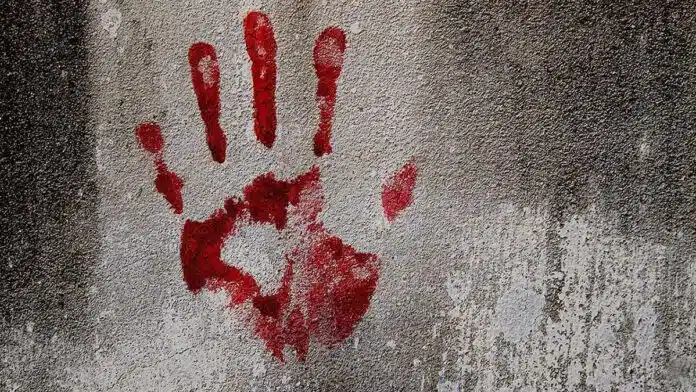 Man kills wife, 2 minor daughters in Rajasthan