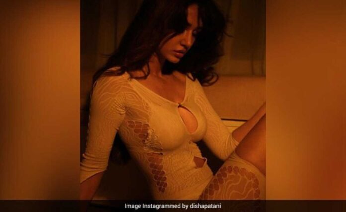 Disha Patani shows off her perfect curves