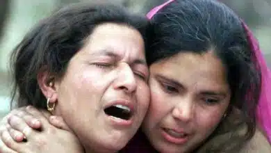 No Kashmiri Pandits employee came back to work for fear of being attacked