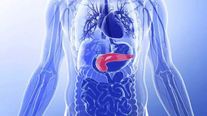 13 Simple Ways To Take Care Of The Pancreas