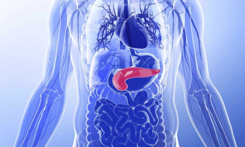 13 Simple Ways To Take Care Of The Pancreas