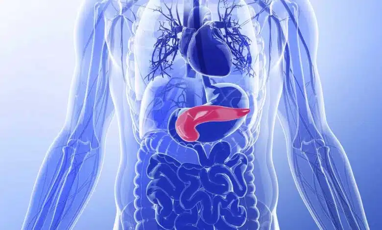 13 Simple Ways To Take Care Of The Pancreas