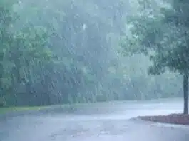 IMD predicted heavy rains in these states for next few days
