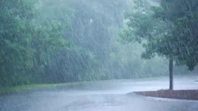 IMD predicted heavy rains in these states for next few days