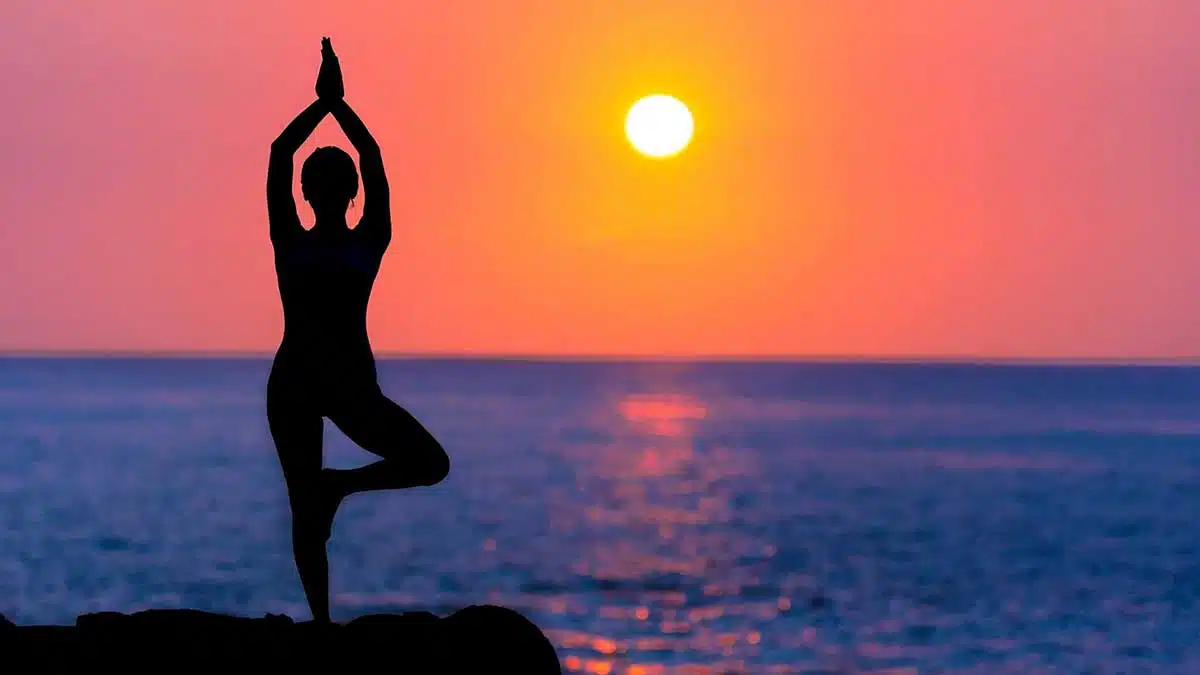 yoga 1 International Yoga Day 2022: History, Theme and Significance