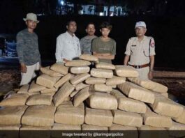 Rs 47 lakh worth Ganja seized in Assam-Tripura border