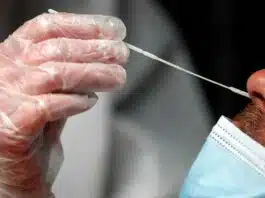 1333 new COVID-19 cases in Delhi: 3 deaths